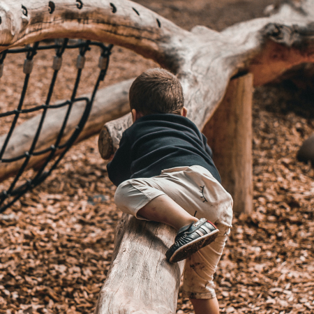 A child playing on a tree in a play area