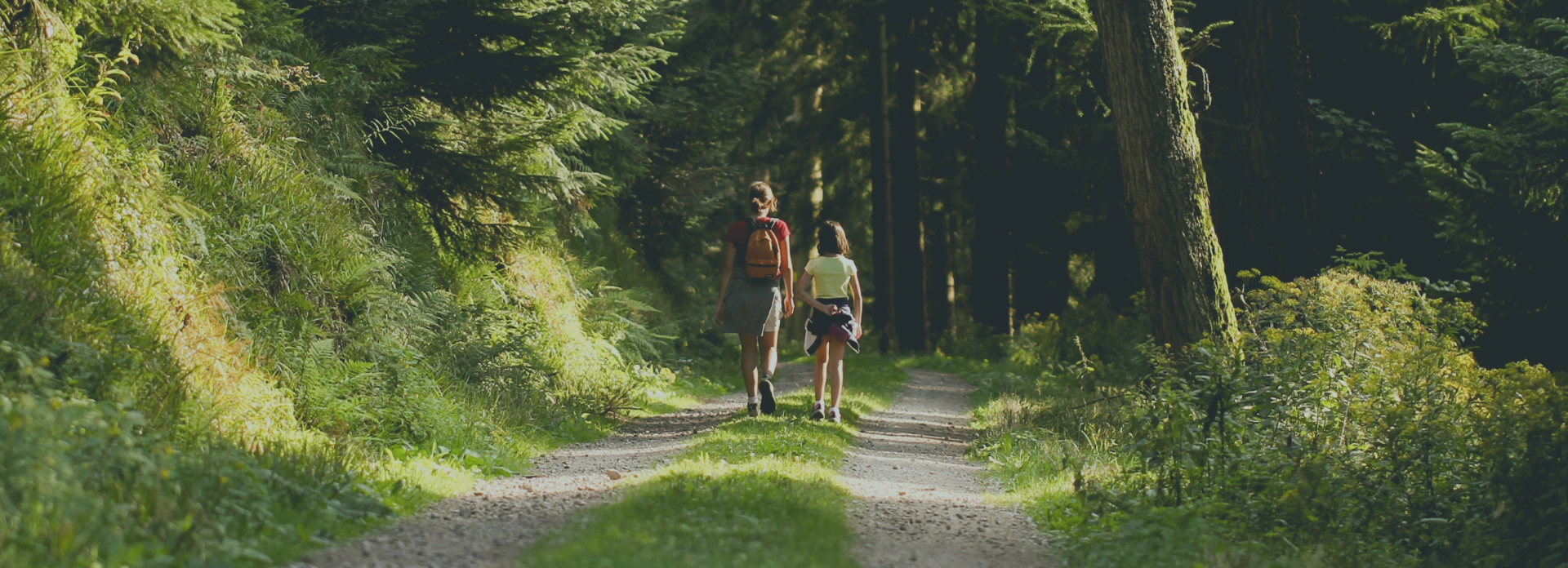 Children walking on a forrest bridleway
